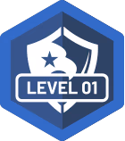 Level 01 Badge
